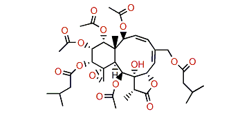 Gemmacolide AF